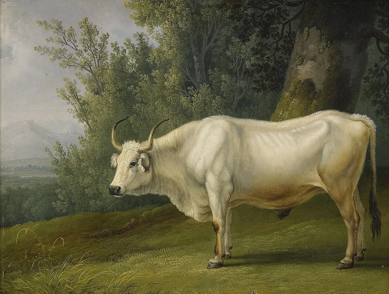 Paesaggio con toro